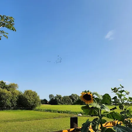 Herdershut 'het Schoehuis', Vlakbij Zee Apartment *