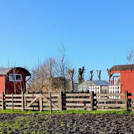 Herdershut 'het Schoehuijsje', Vlakbij Zee Sint Maartensbrug