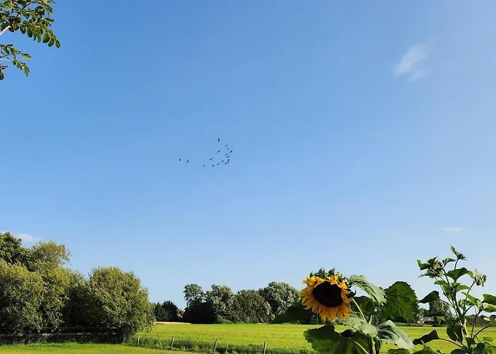 Herdershut 'het Schoehuis', Vlakbij Zee דירה *