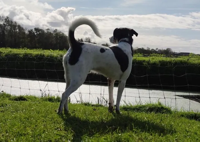 Herdershut 'het Schoehuis', Vlakbij Zee דירה