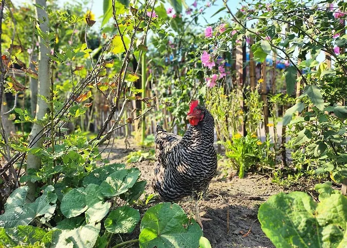 Herdershut 'het Schoehuis', Vlakbij Zee דירה