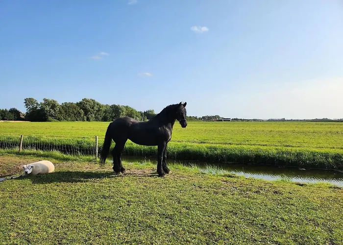 Herdershut 'het Schoehuis', Vlakbij Zee דירה Sint Maartensbrug