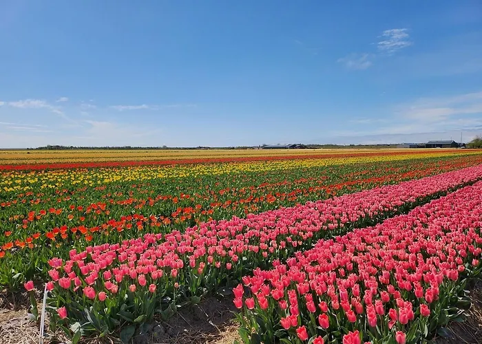 Herdershut 'het Schoehuis', Vlakbij Zee