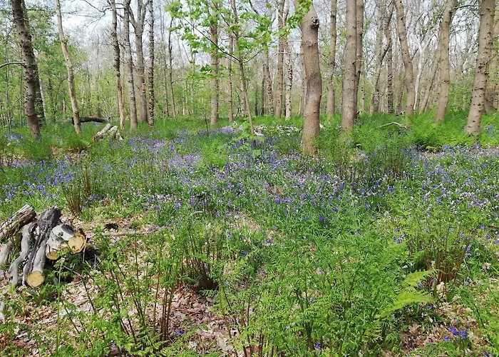 דירה Herdershut 'het Schoehuis', Vlakbij Zee *