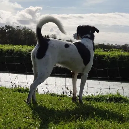 Herdershut 'het Schoehuis', Vlakbij Zee Lägenhet