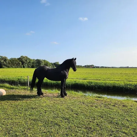 Herdershut 'het Schoehuis', Vlakbij Zee Lägenhet Sint Maartensbrug