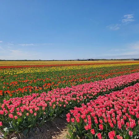 Herdershut 'het Schoehuis', Vlakbij Zee