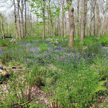Lägenhet Herdershut 'het Schoehuis', Vlakbij Zee *